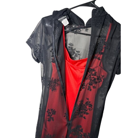 Vintage Arianna by Rachel Kaye Size 6 Black Red Velvet Burnout Mesh Maxi Dress - Picture 4 of 5